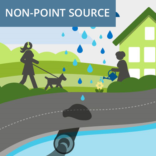 sources of stormwater pollution flyer